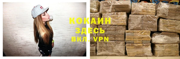 мдпв Каменногорск
