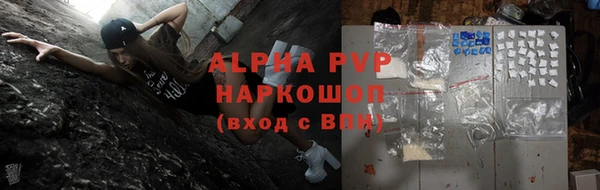 тгк Каменка