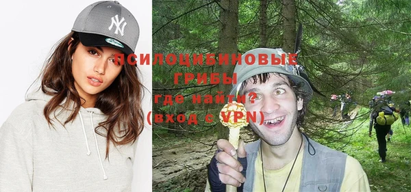 тгк Каменка