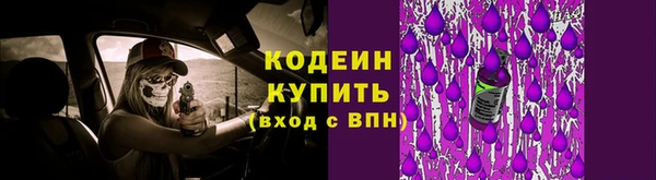 тгк Каменка