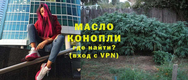 тгк Каменка