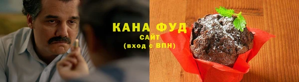мдпв Каменногорск