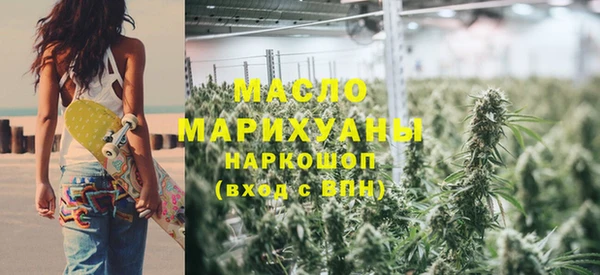 тгк Каменка