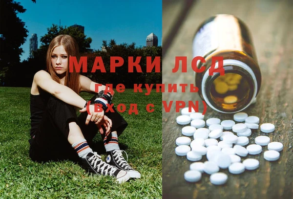 тгк Каменка