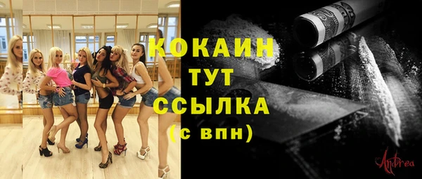 тгк Каменка