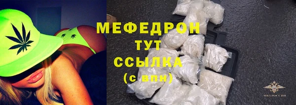 мдпв Каменногорск