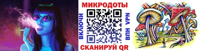 Купить  Пучеж  Галлюциногенные грибы Psilocybine cubensis 